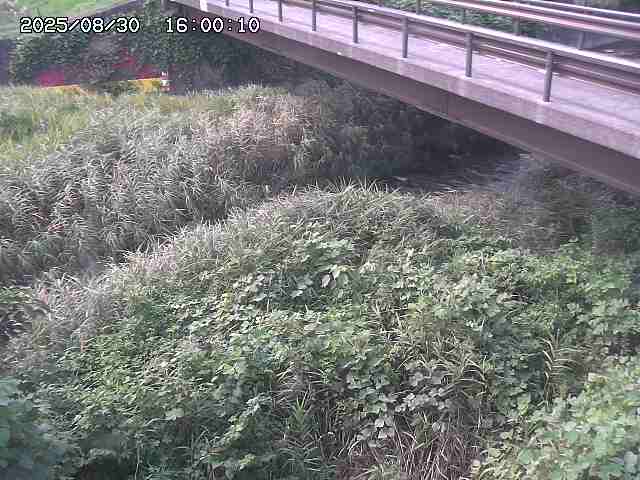 土師川２2025/08/31 1:00:00