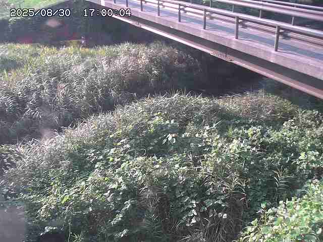 土師川２2025/08/31 1:00:00