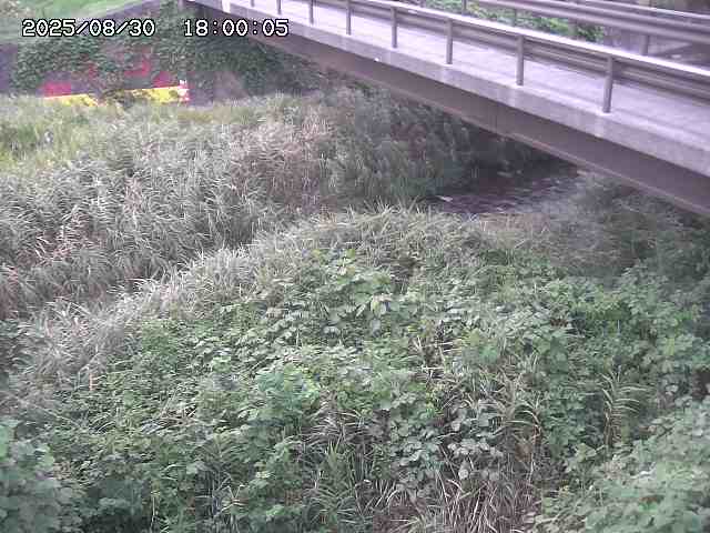 土師川２2025/08/31 1:00:00