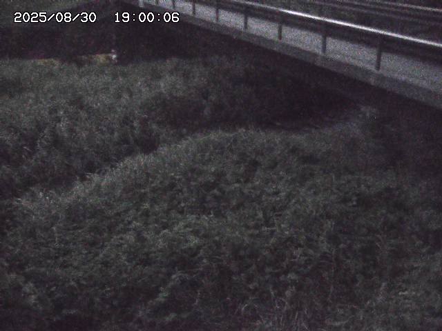 土師川２2025/08/31 1:00:00