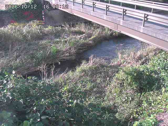 土師川２2026/10/13 14:30:00
