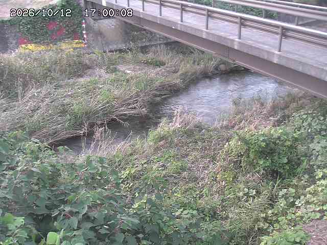 土師川２2026/10/13 14:30:00