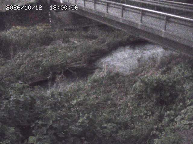 土師川２2026/10/13 14:30:00