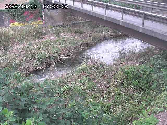 土師川２2026/10/13 14:30:00