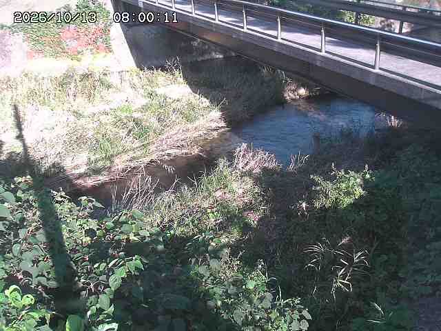 土師川２2026/10/13 14:30:00