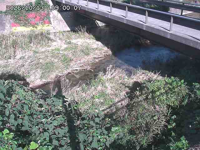 土師川２2026/10/13 14:30:00