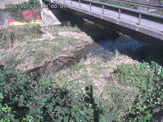土師川２2026/10/13 14:30:00