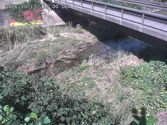 土師川２2026/10/13 14:30:00