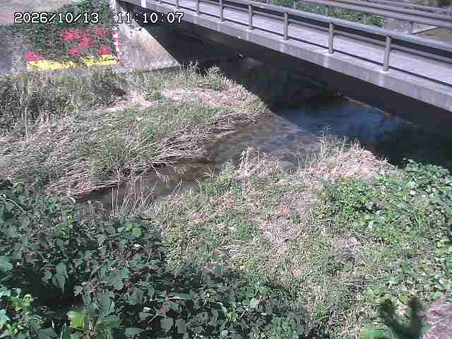 土師川２2026/10/13 14:30:00