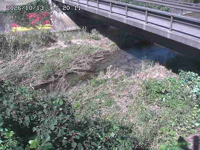 土師川２2026/10/13 14:30:00