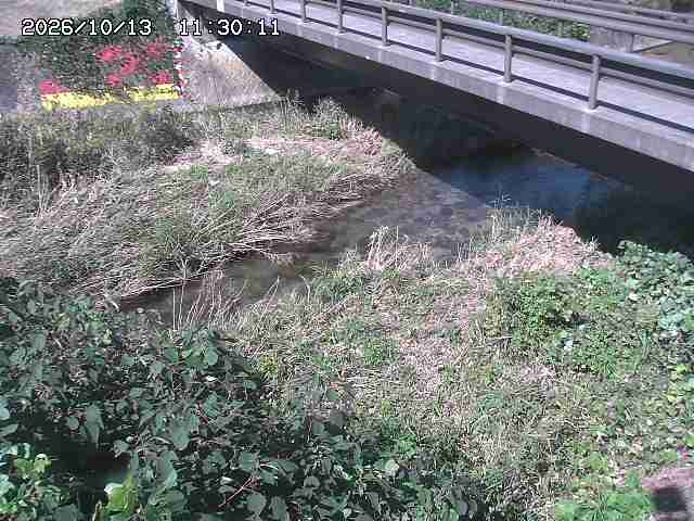 土師川２2026/10/13 14:30:00
