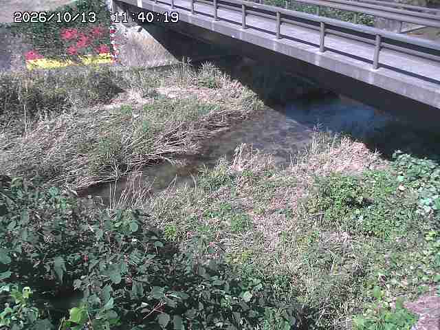 土師川２2026/10/13 14:30:00