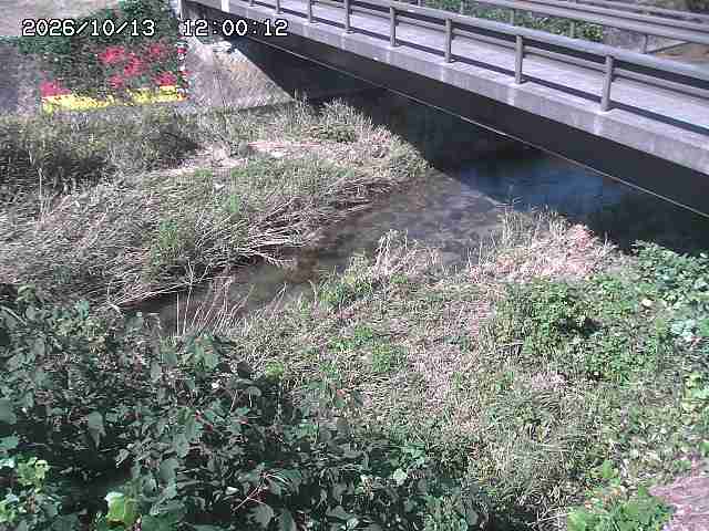 土師川２2026/10/13 14:30:00