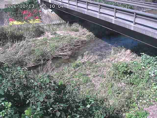 土師川２2026/10/13 14:30:00