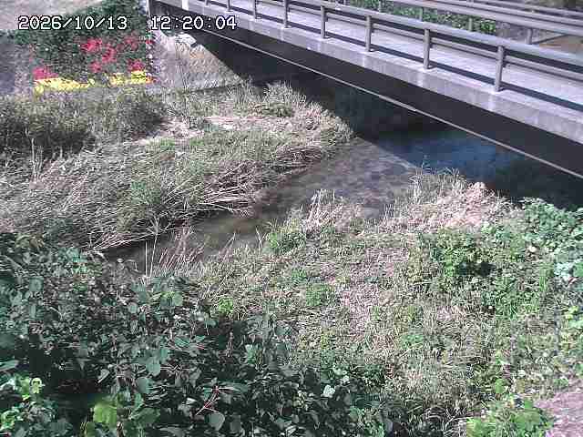 土師川２2026/10/13 14:30:00