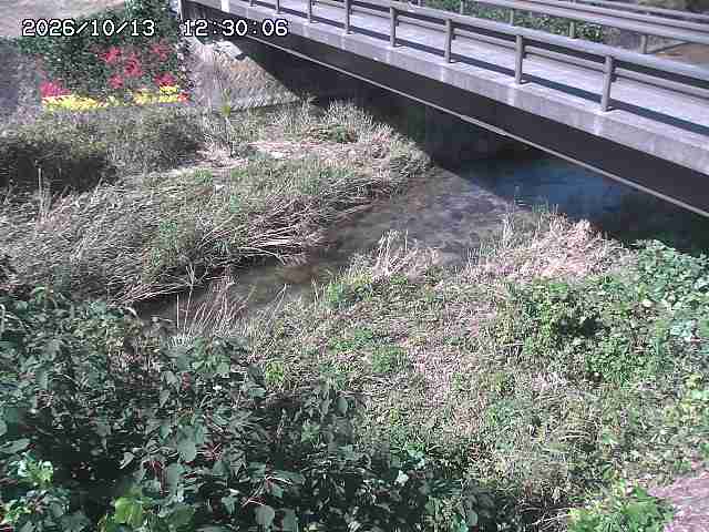土師川２2026/10/13 14:30:00
