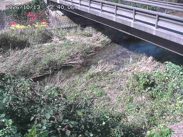 土師川２2026/10/13 14:30:00