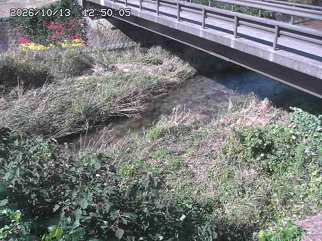 土師川２2026/10/13 14:30:00