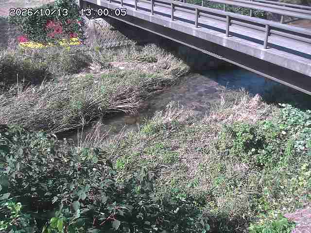 土師川２2026/10/13 14:30:00