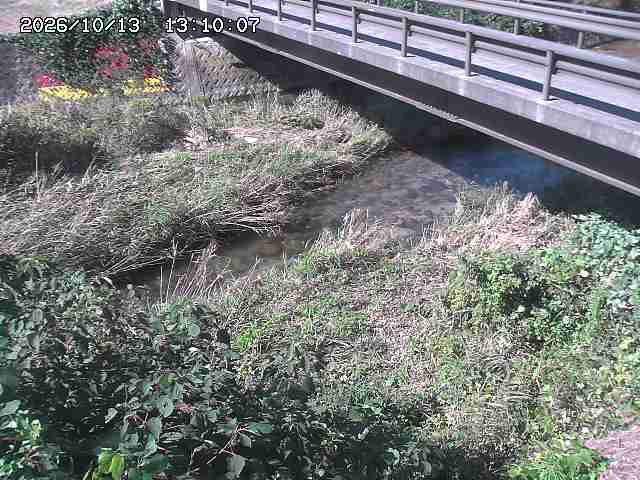 土師川２2026/10/13 14:30:00