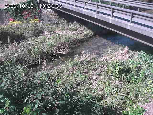 土師川２2026/10/13 14:30:00