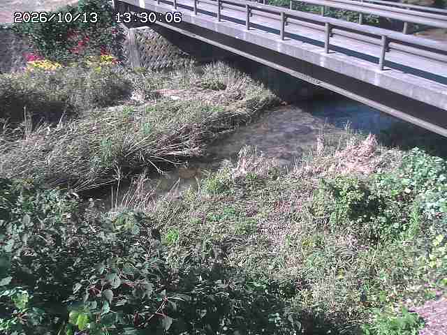 土師川２2026/10/13 14:30:00