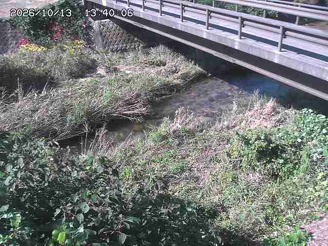 土師川２2026/10/13 14:30:00
