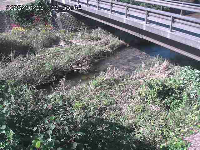 土師川２2026/10/13 14:30:00