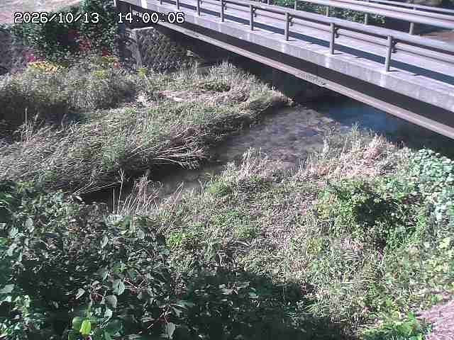 土師川２2026/10/13 14:30:00