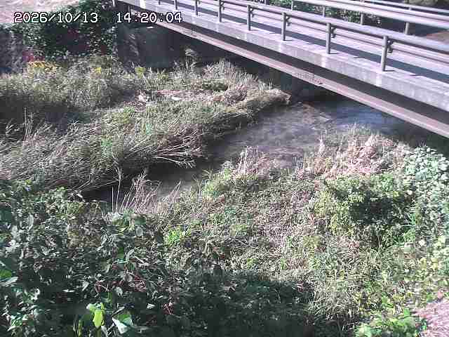 土師川２2026/10/13 14:30:00