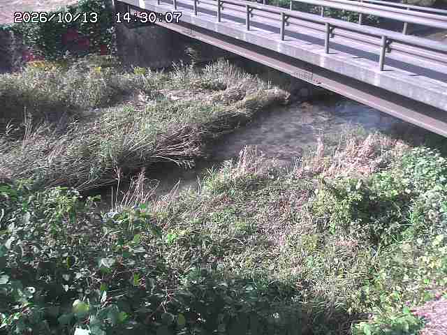 土師川２2026/10/13 14:30:00
