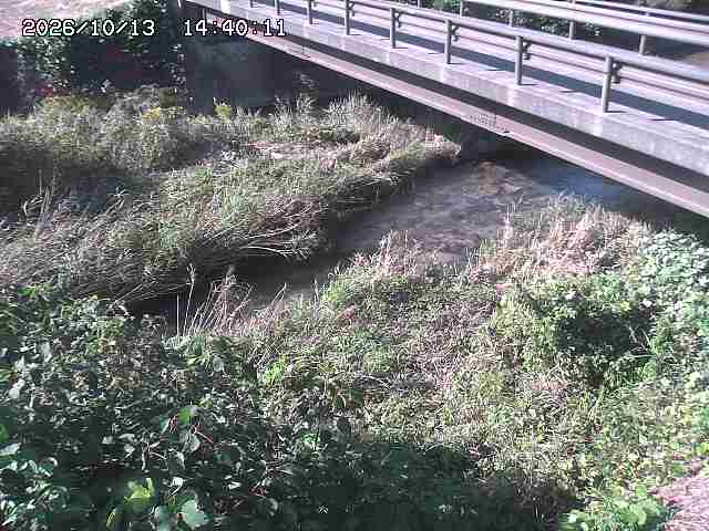 土師川２2026/10/13 14:30:00