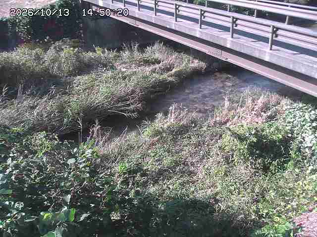 土師川２2026/10/13 14:30:00