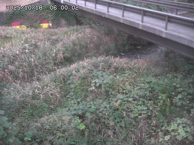土師川２2025/10/18 20:30:00