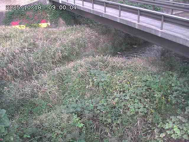 土師川２2025/10/18 20:30:00