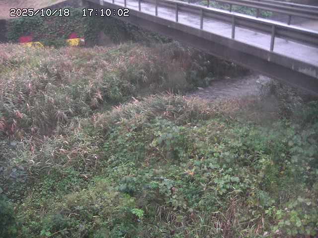 土師川２2025/10/18 20:30:00