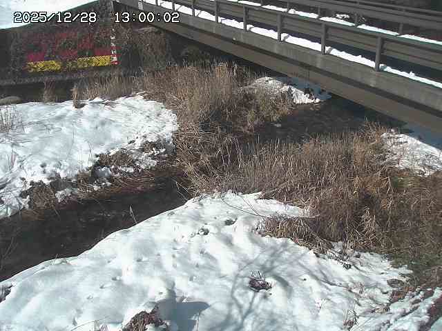 土師川２2025/12/29 9:50:00