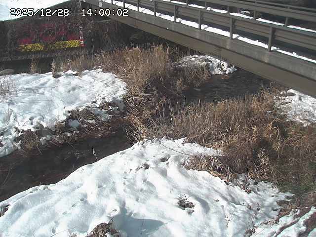 土師川２2025/12/29 9:50:00