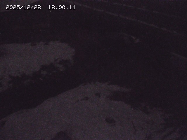 土師川２2025/12/29 9:50:00