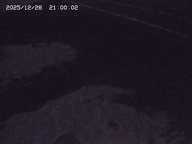 土師川２2025/12/29 9:50:00
