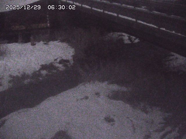 土師川２2025/12/29 9:50:00