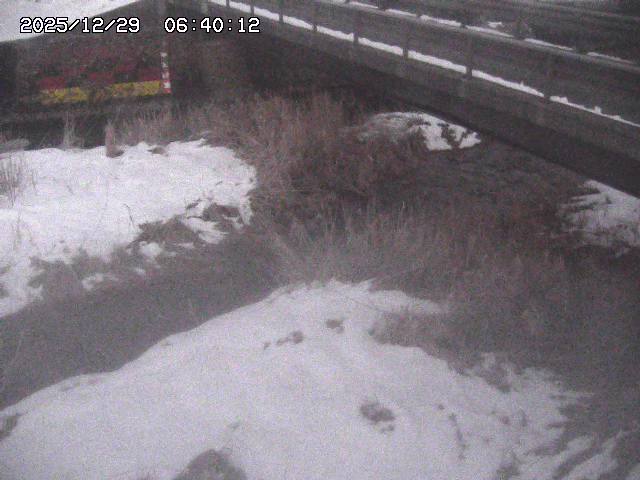 土師川２2025/12/29 9:50:00