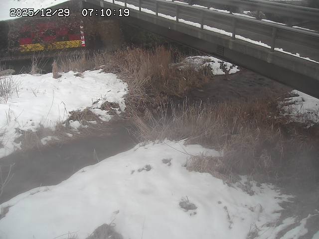 土師川２2025/12/29 9:50:00