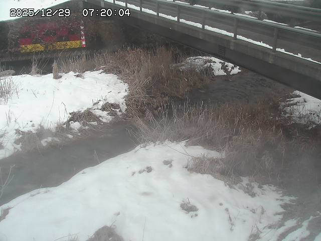 土師川２2025/12/29 9:50:00