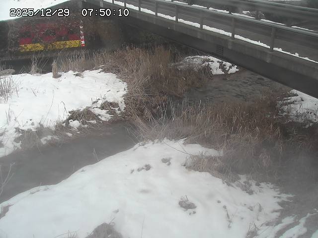 土師川２2025/12/29 9:50:00