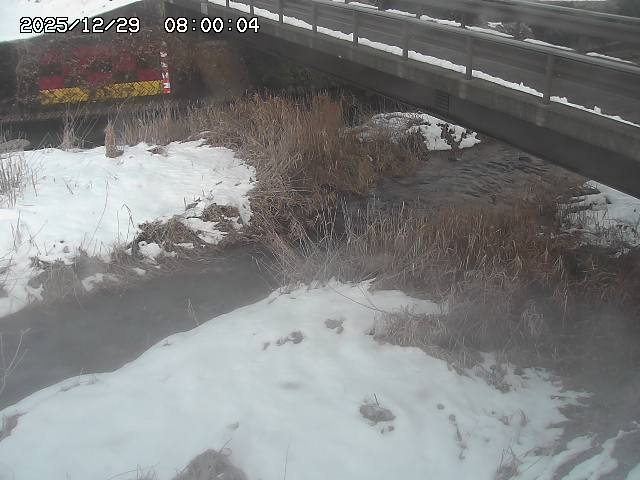 土師川２2025/12/29 9:50:00