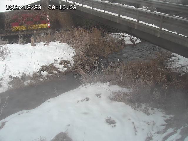 土師川２2025/12/29 9:50:00