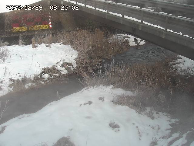 土師川２2025/12/29 9:50:00