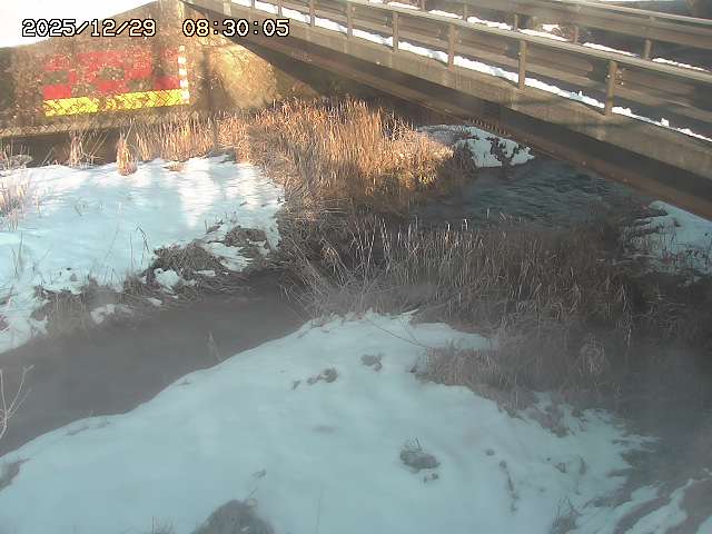 土師川２2025/12/29 9:50:00