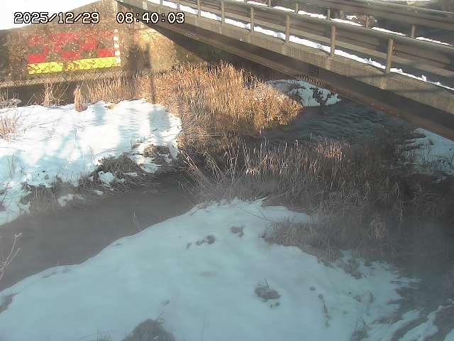 土師川２2025/12/29 9:50:00